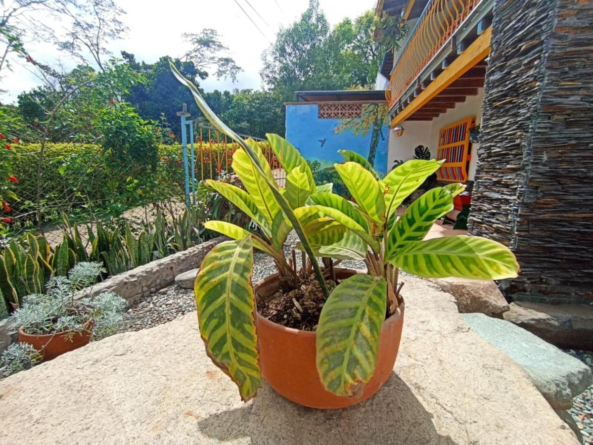 Casa De Las Rocas Hostel Jardin Luaran gambar